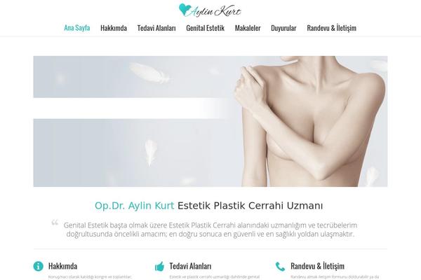 aylinkurt.com site used Aylinkurt-tema