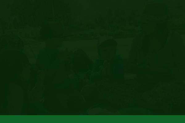 Site using Mpc-extensions plugin