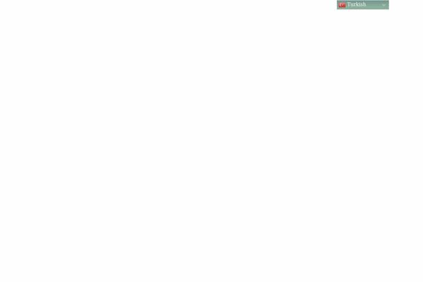 Aora theme site design template sample