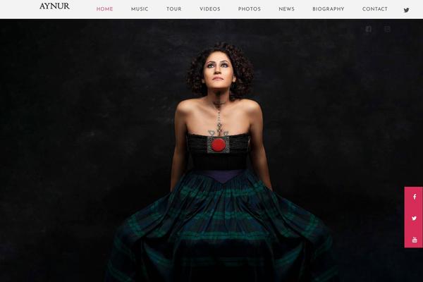 Site using Soundrise-music plugin