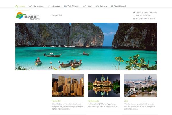 Im-startup theme site design template sample