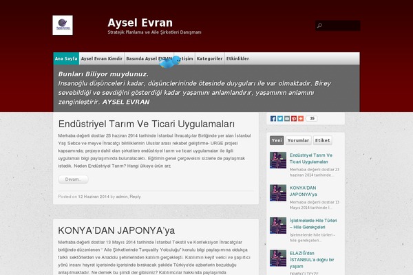 multi-color theme site design template sample