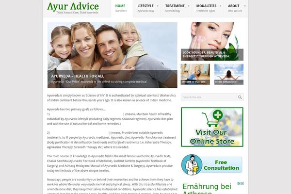 Point theme site design template sample