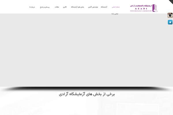 Aaika theme site design template sample