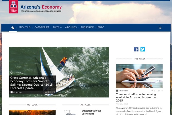 Magazin theme site design template sample