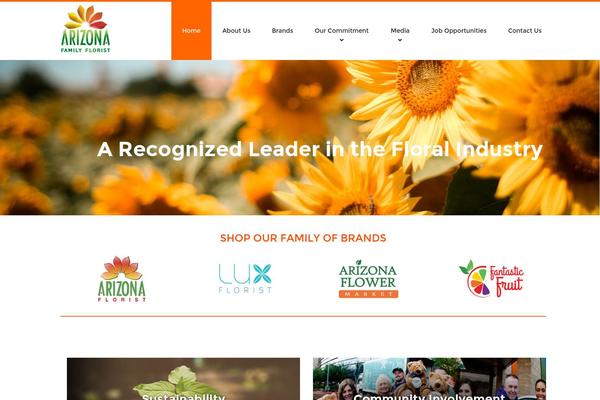 Site using BJ Lazy Load plugin