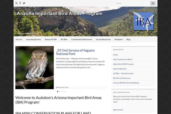 Graphene theme site design template sample