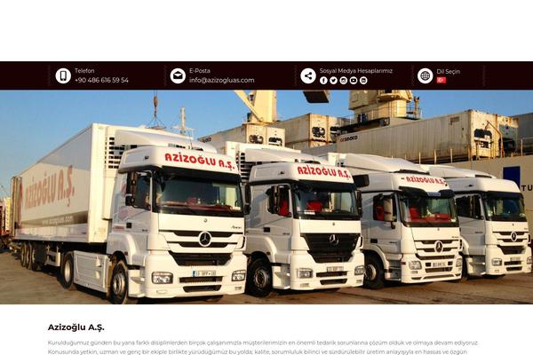 azizogluas.com site used Yildiz
