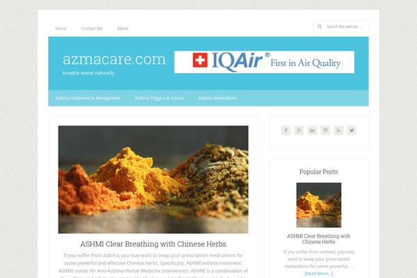 Lifestyle Pro theme site design template sample