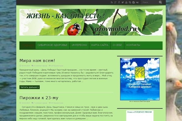 Inetproduce theme site design template sample