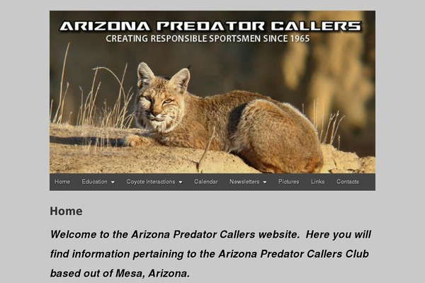 Gridiculous theme site design template sample