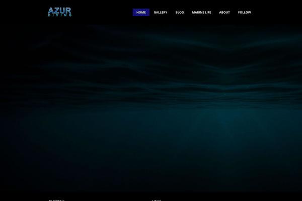 Photocrati theme site design template sample