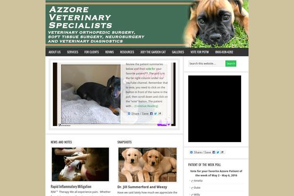 News theme site design template sample