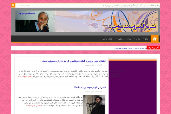 Sahifa-wpcity theme site design template sample