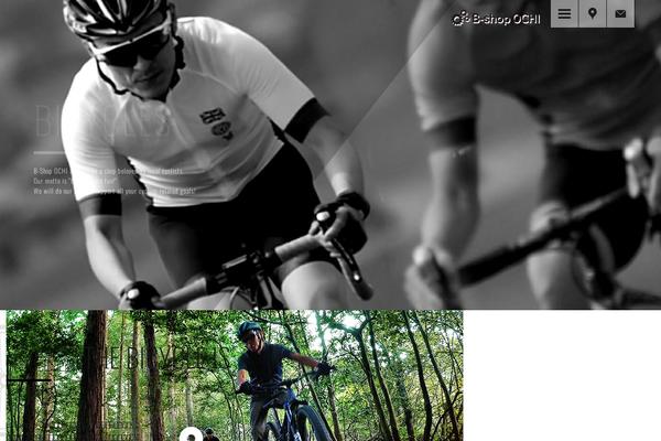 Site using Biz Calendar plugin