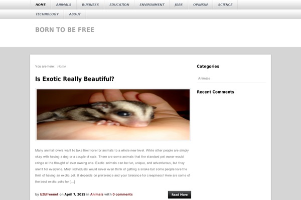 Sukelius-magazine theme site design template sample