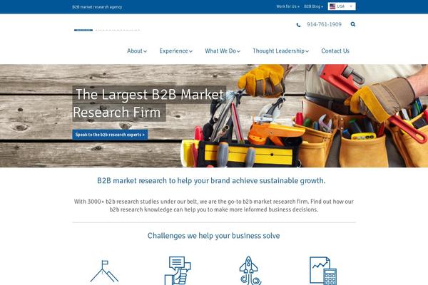 b2binternationalusa.com site used B2binternational