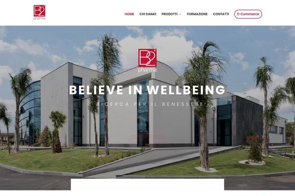 Divi Child theme site design template sample