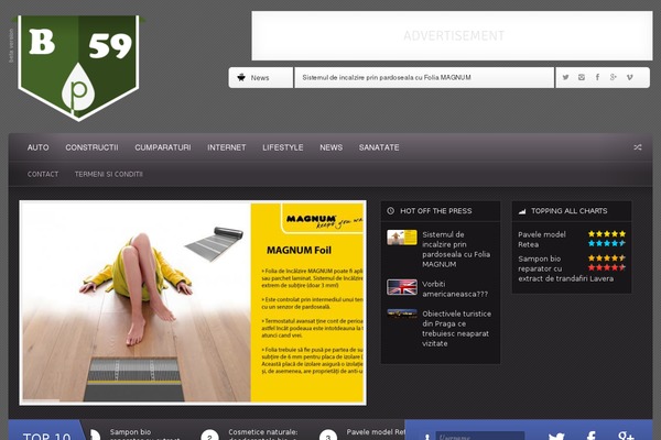 Flavor theme site design template sample