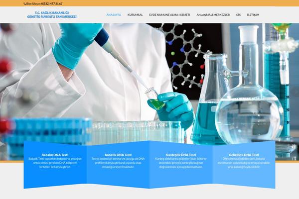 V3 theme site design template sample