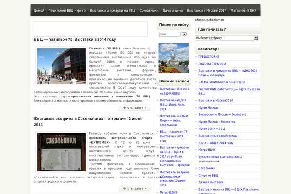 WordPress website example screenshot