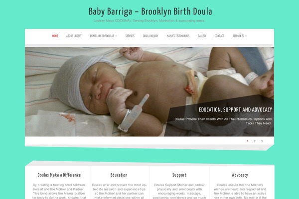 Zenon Lite theme site design template sample