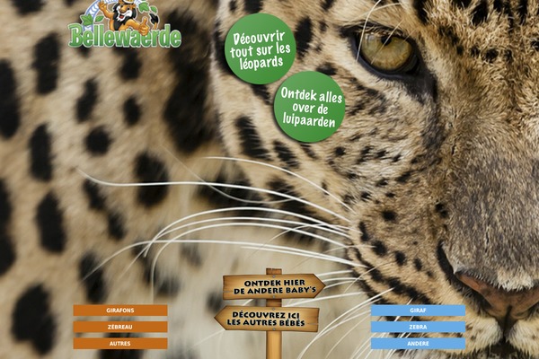Share theme site design template sample