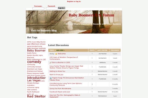 Misty Look theme site design template sample