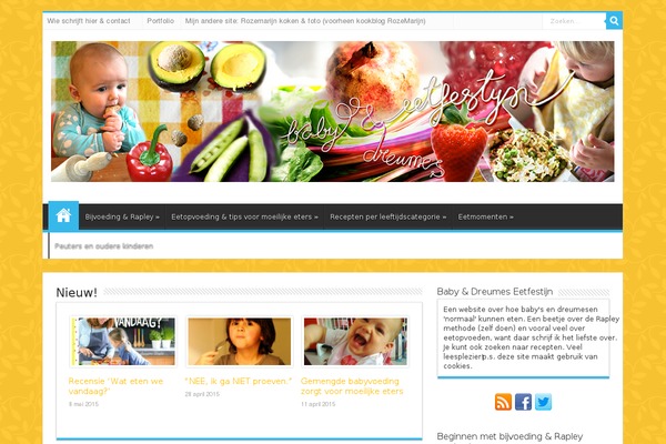 Sahifa theme site design template sample
