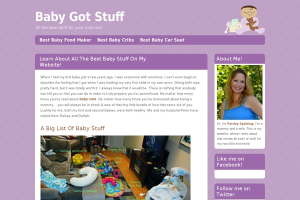 Babylog theme site design template sample