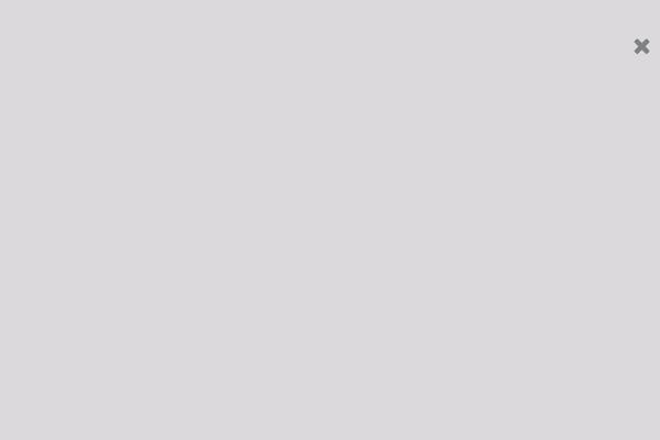 Site using Woo-badge-designer-lite plugin