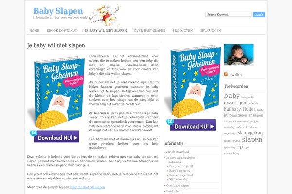 ADSimple theme site design template sample