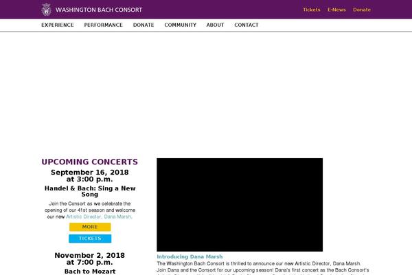 Site using Google-mp3-audio-player plugin