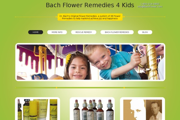 Spacious theme site design template sample
