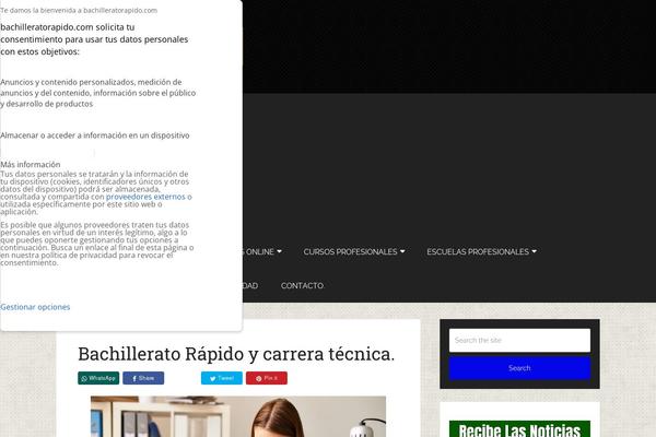 Schema theme site design template sample
