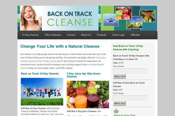 Freelance theme site design template sample