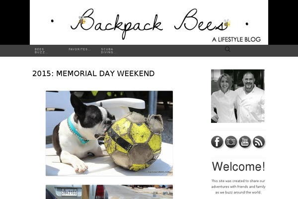Site using iiRe Social Icons plugin