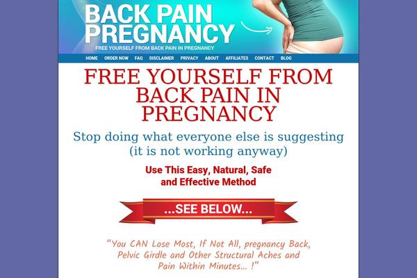backpainpregnancy.com site used Oisebook