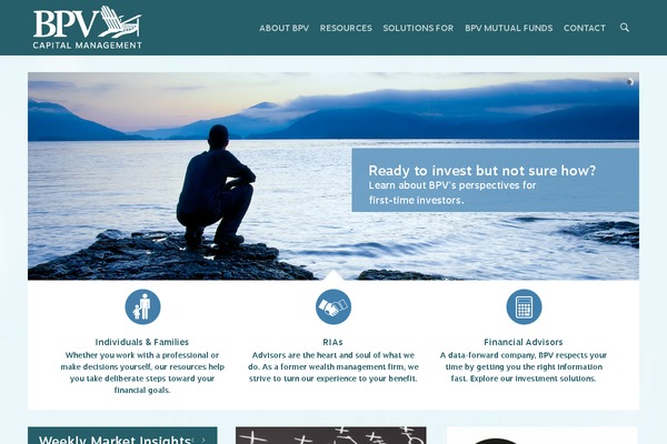 bpv-safarica-child theme websites examples