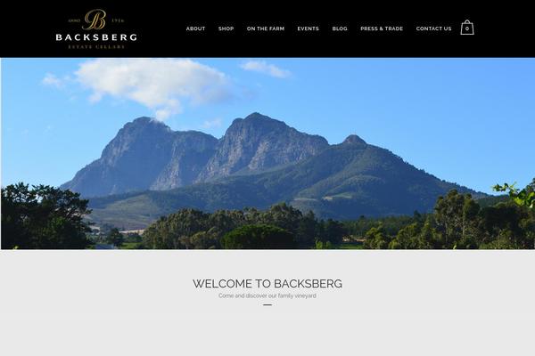 Bridge theme site design template sample