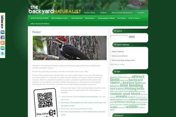 Studioblue theme site design template sample
