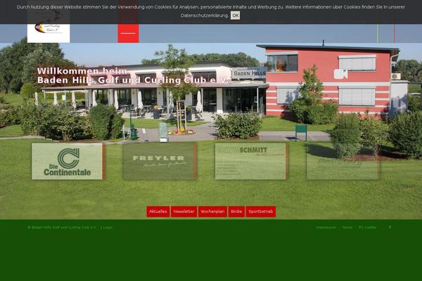 Enfold-child theme site design template sample
