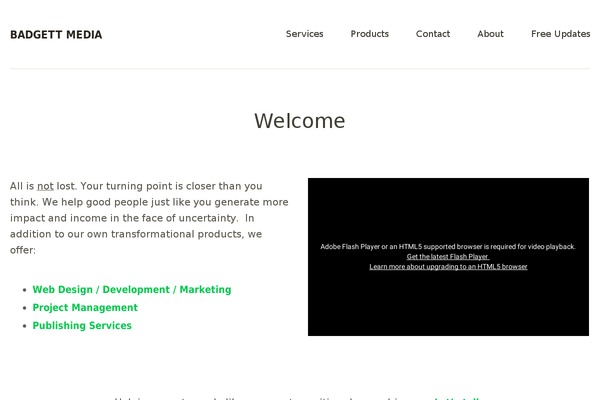 Baylys theme site design template sample