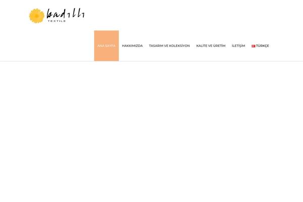 Capital theme site design template sample