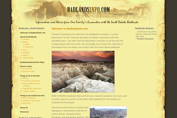 Limau Orange v.01 theme site design template sample
