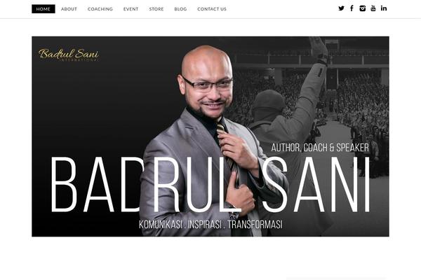 badrulsani.com site used Pro Blogg