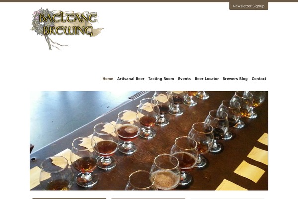 BBQ theme site design template sample