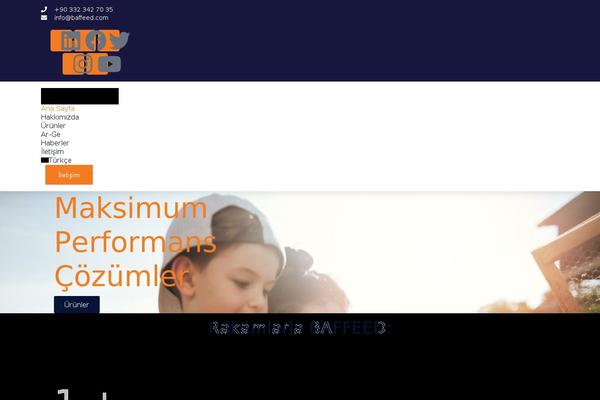 Site using Iws-geo-form-fields plugin