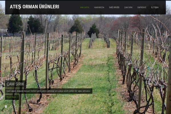 SKT Photo Session theme site design template sample