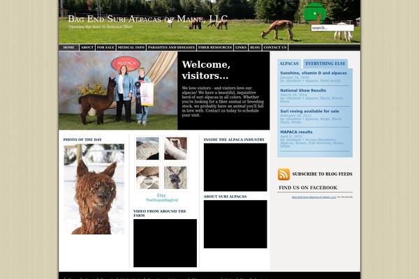 Irealestate theme site design template sample